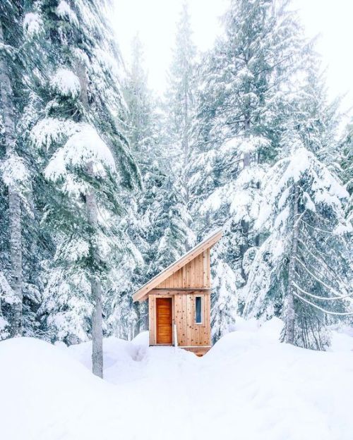 Cabin in Cypress Mountain, Vancouver Photographed by Emmett SparlingHeartwood Tumblr | Instagram