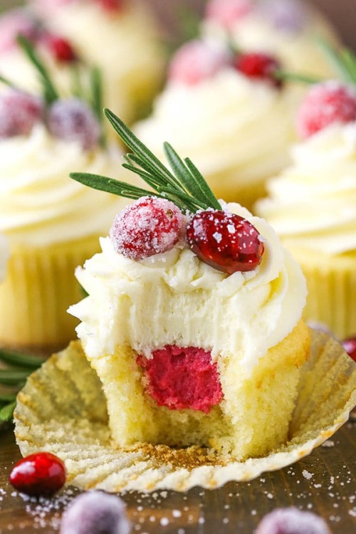 sweetoothgirl:  SPARKLING CRANBERRY WHITE CHOCOLATE CUPCAKES
