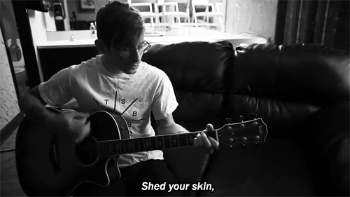 skin-father:  title fight - shed 