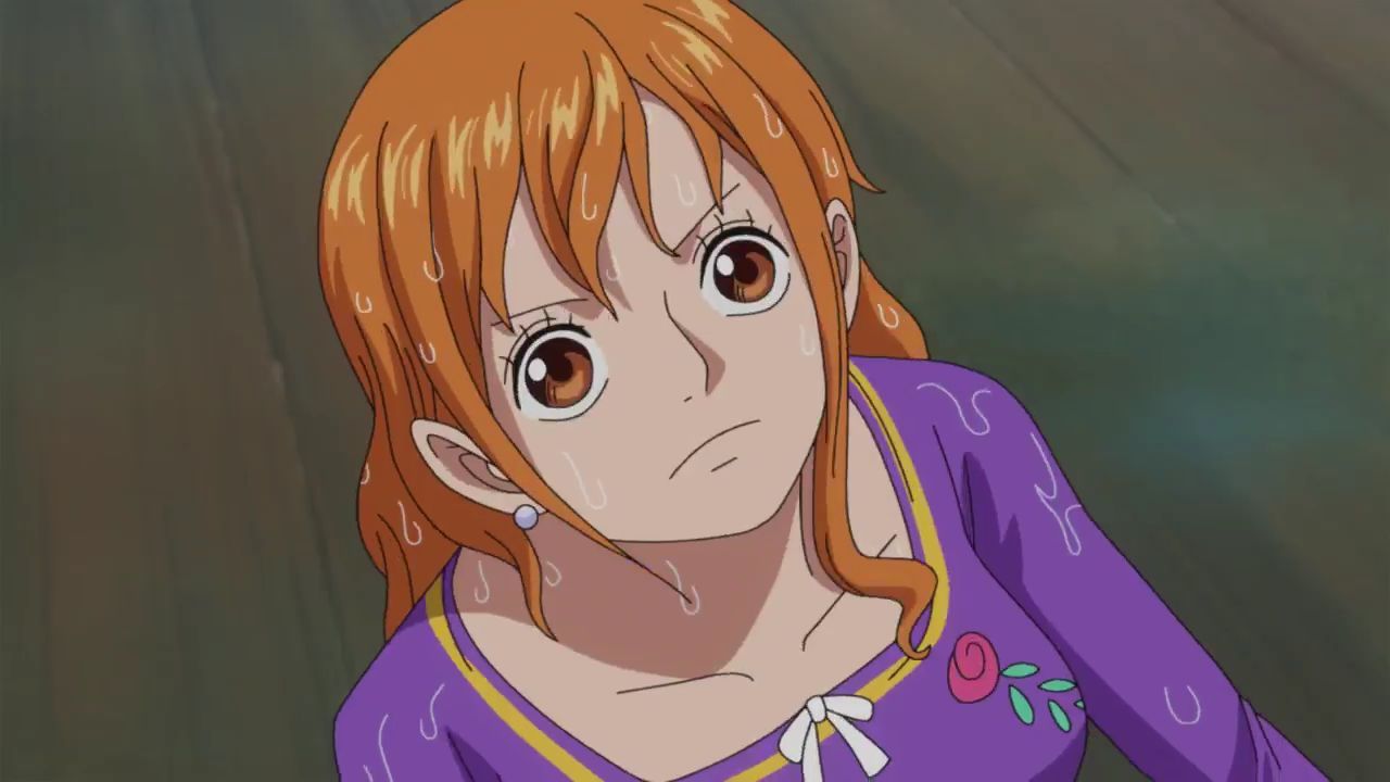 Who said Nami was such a wimp?!! One Piece Episode 891 Land Of