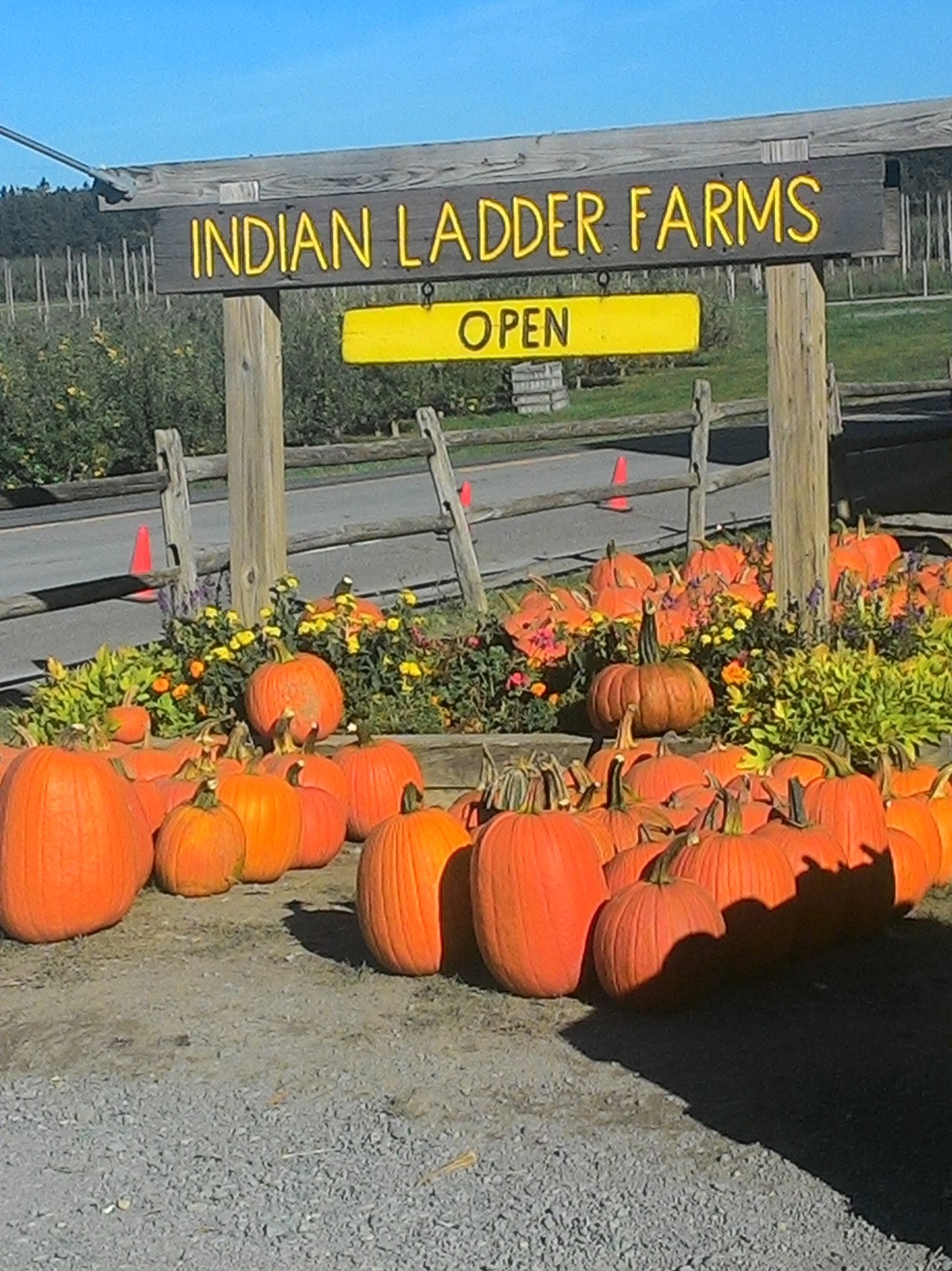 We’ve been having glorious fall weather. On Monday it was 70 and sunny, in other