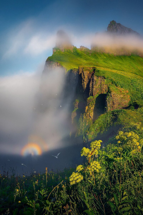 j-k-i-ng:“Untitled” by | Arnar KristjanssonHornbjarg- Ísafjarðarbær, Westfjords, Iceland