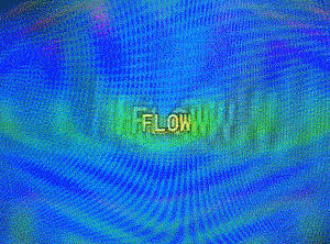 thesarahshow: flow. Sarah Zucker, 2018.