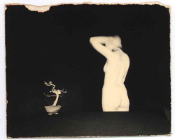 nobrashfestivity:  Masao Yamamoto  