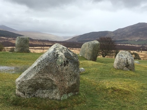 everything-celtic: Standing stones, Machrie Moor, Scotland