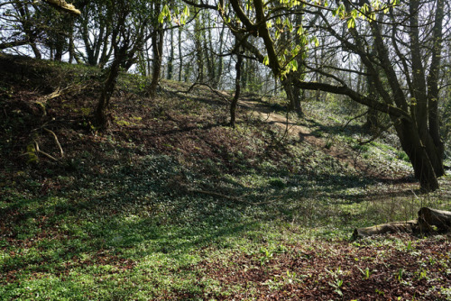 ‘Danes Dyke’ Prehistoric Earthwork, Yorkshire Coast, 9.4.17. This Bronze Age bank and di