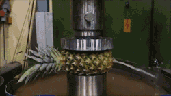 were-ralph:heraldofultimateness:slitherpunk:@were-ralph Wow what a short and concise