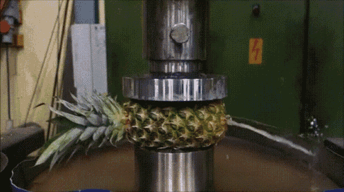 were-ralph:heraldofultimateness:slitherpunk:@were-ralph Wow what a short and concise