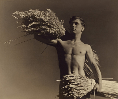 gayhistoryboys: Keast Burke (New Zealand 1896 - Australia 1974) ‘Harvest’   1904