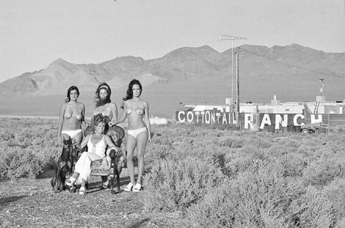 mistons: Madame Beverly Harrell and crew, c. 1970s.Cottontail Ranch, “The Friendliest Place In Nevad