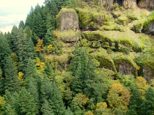 Columbia River Gorge- Oregon October 2013