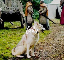 dreamofspring: got meme | ½ Creatures ◦ Direwolves Their voices echoed through