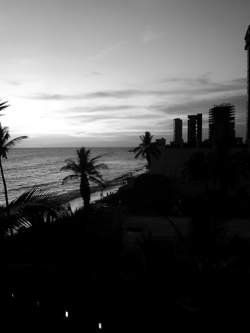 elelovesdaisies:Mazatlán, 2015.