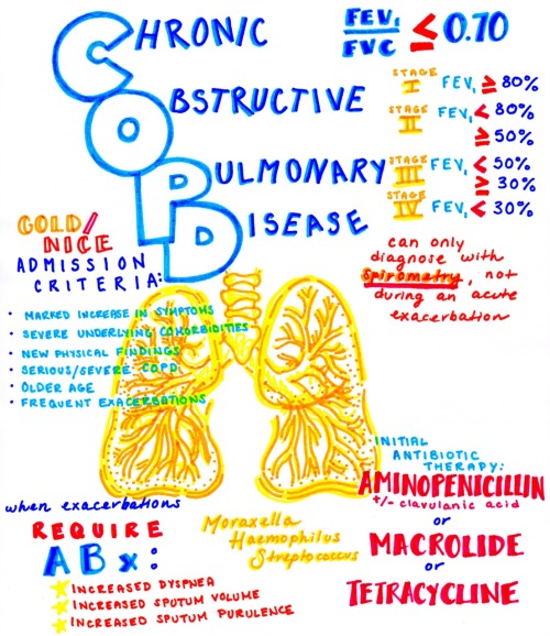 COPD exacerbations and when to give antibioticsdownload my medical and anatomy study guides here!