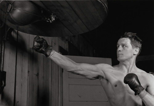 joeinct:Boxer, Photo by Harold E. Edgerton, 1940