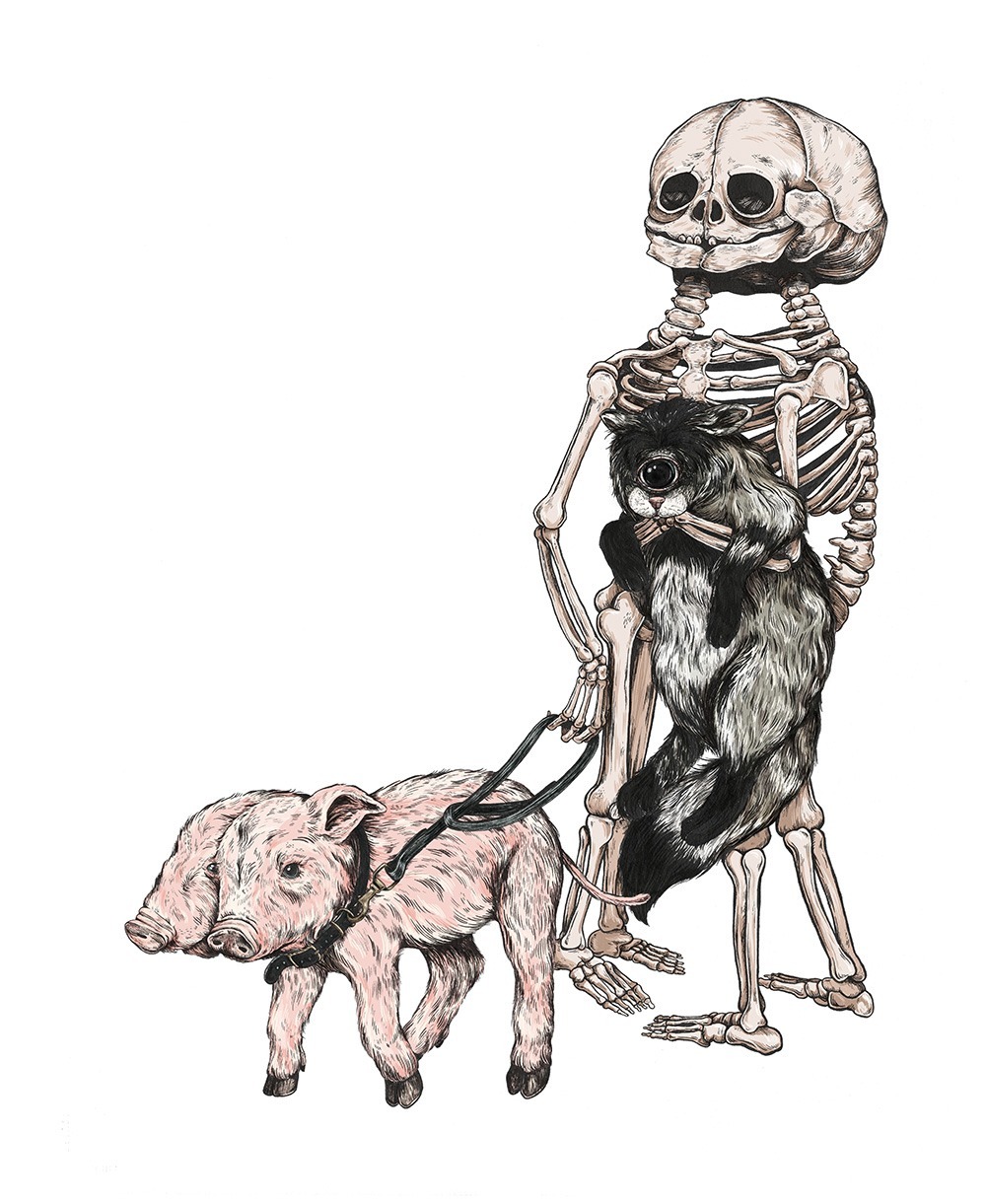 milk-paws:  Museum Vrolik inspired illustration. 24” x 30” 