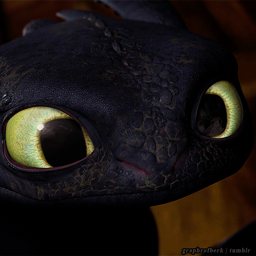 ask-oklahoma-america:  sunsetofdoom:  tarch-7:  Toothless is so cute here.  THE DETAILS HIS NOSTRILS ARE PINK ON THE INSIDES YOU CAN SEE THE EDGES OF HIS SCALES HE’S STILL COVERED IN DIRT AND SOOT FROM THE FIGHT DREAMWORKS WHY ARE YOU SO AWESOME  how