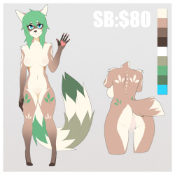 Raccoon AdoptableThis time the auction will