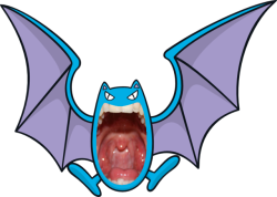 nolanthebiggestnerd:  animewithteeth:  Golbat