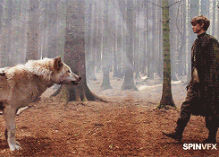 ariannsmartell:Game of Thrones special effects [x]