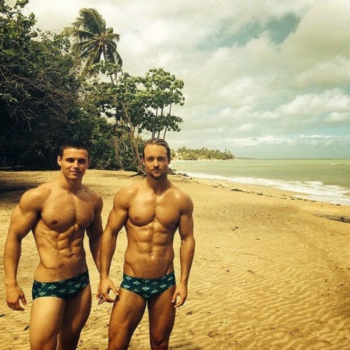 XXX borntoservicestr8men:  Some incredible bodies photo