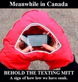 myotpisgay:  nottheshepardyourelookingfor:  tabbybeard:  tramampoline:  baxtavius:  How low? This is really convenient, especially in Canada where it’s negative asshole degrees out. Besides, sometimes you do need your phone while walking outside, whether