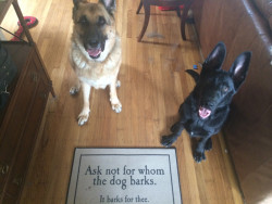 awwww-cute:  My new doormat arrived today