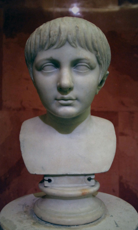 myglyptothek:Portrait of a boy of Julio-Claudian family. Mid.I century AD. Marble. State Hermitage M