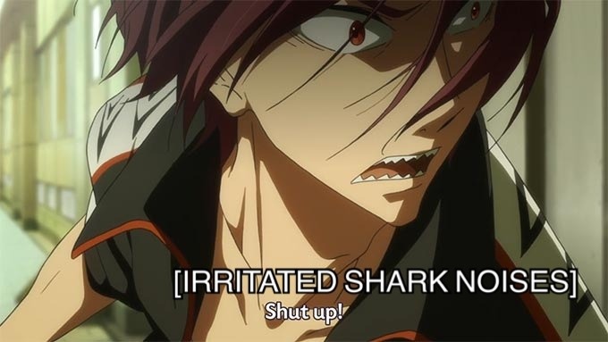 swagayama:  I heard it was Shark Week. 