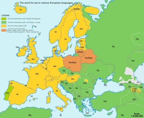 evanfleischer:Etymology map for the word “tea.”There’s more here.