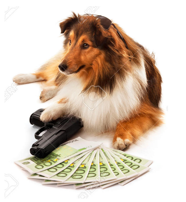 bocsart:  Bad Stock Photos 2: Electric Boogaloo (x) 