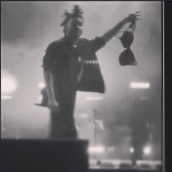 abeltesfayetheweeknd:  who threw their bra at my husband.!?  Yassss