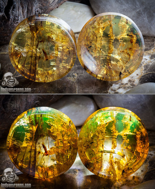 bodyartforms:  Chiapas amber plugs by Diablo Organics Secondary photos are back-lit by led lights which brings out green tones. http://www.bodyartforms.com/products.asp?keywords=amber&brand=Diablo&new=Yes 