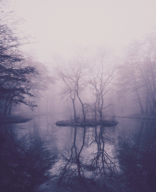 brutalgeneration:  nostalgia (by honeypieLiving) 