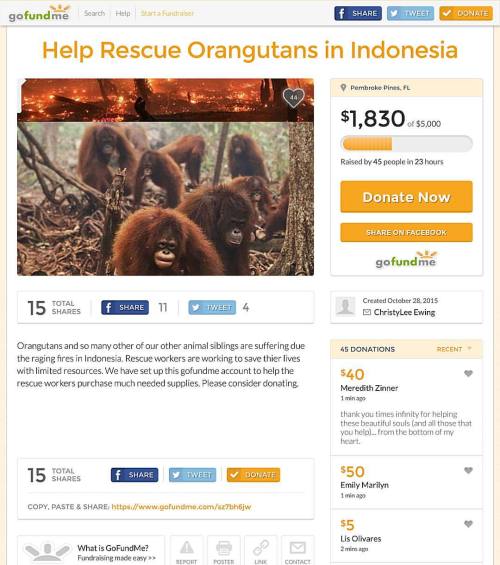 A #gofundme has been set up to help the #orangutans and other wildlife in the #borneo #fires. https: