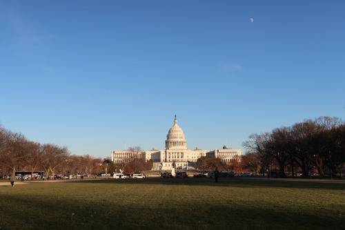 Washington, DC and VirginiaDecember 13, 20211. “James Van Der Zee’s Photographs: A Portrait of Harle