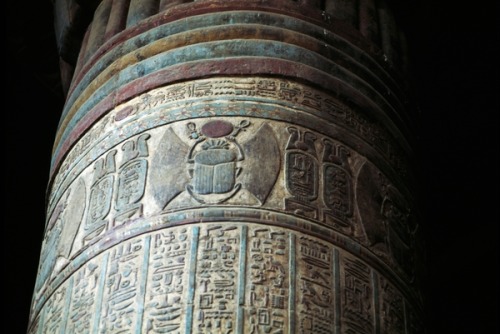 Column with hieroglyphs, hypostyle hall of Temple of Khnum, Esna