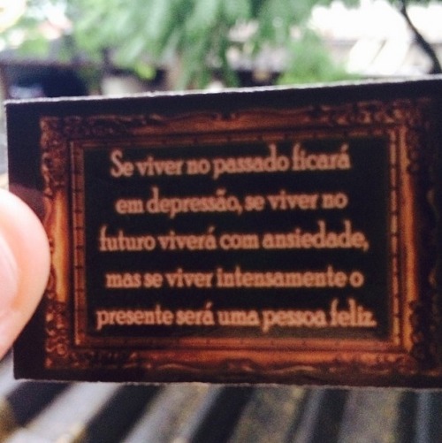 tumblr photo se-movimenta 0