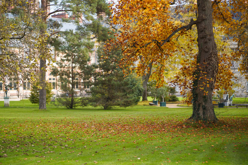 #32524.OCT.2015 Fontainebleau