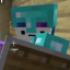picklenjoyer