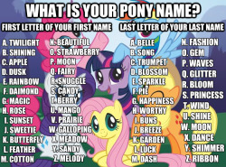 vixyhoovesmod:  ask-nightshadow:  mlp-aurora:  coalsmoke:  sd60macintosh2748:  ponyplease:  thefreakyfailmonster:  Twilight Belle  apple shimmer :’)  Twilight Princess. (InB4 Legend of Zelda or Twilicorn puns)  Coalsmoke :D  Melody Sparkle  snuggle