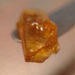 errld:  Banana Kush Shatter this #Shatterday.