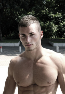 Adonis Files