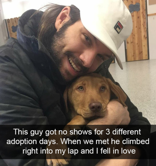 animalsnaps