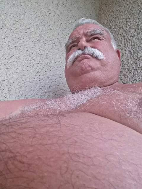 bubbalover1: bearbarbudo: Very beautiful Woof