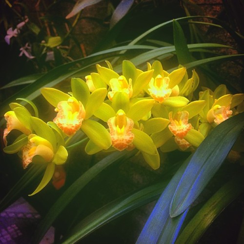 Distance Child My Flower... #pretty #beauty #flower #good #color #cute #cool #smile #music #love #pic