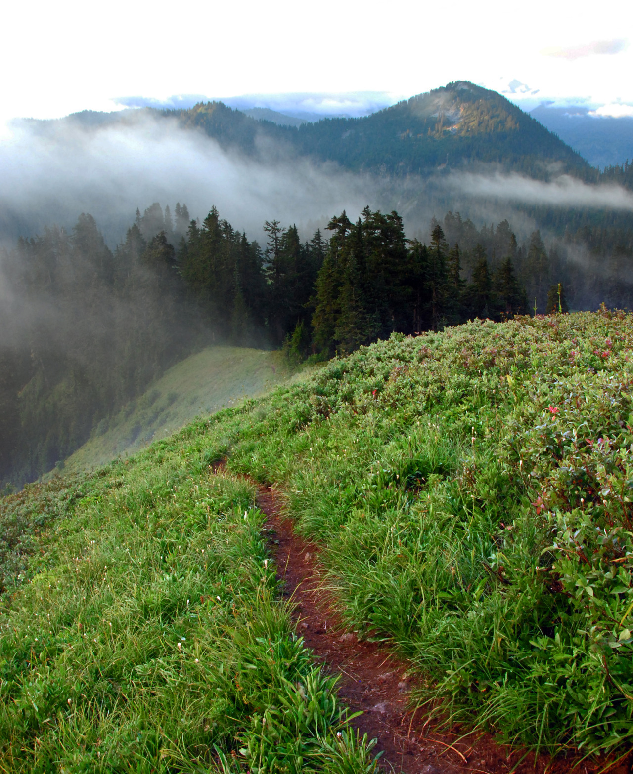 trek wenatchee photos