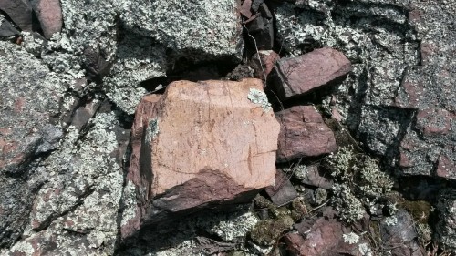 volcanamericain:More pictures from Hughes Mountain. Columnar rhyolite (really a devitrified rhyoliti
