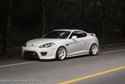 radracerblog: Hyundai Tiburon 