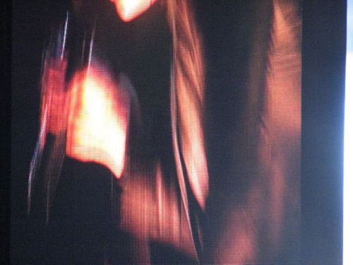 9/1/07 At Tinley Park, Illinois. Taken By Melanie Wilson